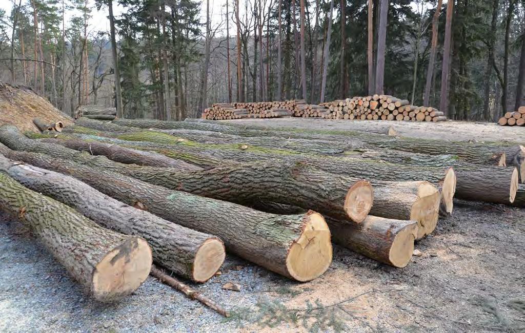 Gospodarcze wykorzystanie drewna Pozyskanie drewna zależy od wielkości zasobów, ich dostępności oraz stopnia zmechanizowania gospodarki leśnej.