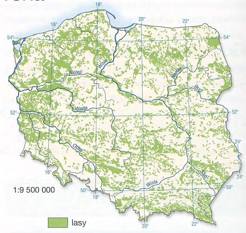 Rozmieszczenie lasów w Polsce