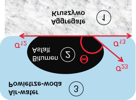 306 Micha³ Sarnowski przyczepnoœæ fizykochemiczna, tj.