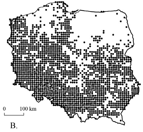 Ryc. 2. Występowanie robinii akacjowej Robinia pseudoacacia L.: A. zasięg naturalny; B. rozmieszczenie w Polsce (za Zając 2001); na terenie Lasów Państwowych: C. w warstwie okapu drzew, D.
