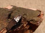 Charakterystyka mineralogiczna polskich Karkonoszy Na stosunkowo niewielkim obszarze polskich Karkonoszy występują skały o bogatej i zróżnicowanej mineralizacji, a doskonałe odsłonięcie terenu oraz