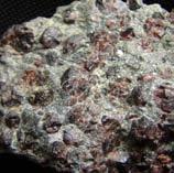 Granaty wschodnich Karkonoszy Ryc. 57. Nagromadzenie kryształów granatów w łupku łyszczykowym ze wschodnich Karkonoszy. Wielkość kryształów 0,5 cm Granaty należą do popularnych kamieni jubilerskich.