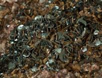 Wszędobylski hematyt Jednym z najpospolitszych minerałów w Karkonoszach jest hematyt.