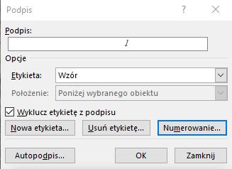 nowy styl wyśrodkowany, nieco mniejsza czcionka, pochylona). Wstawiając symbole wielkości występujących w równaniu najlepiej jest używać ramki równania (l.