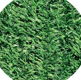 promienie UV, wymiary: 3,00 x