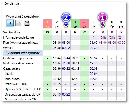 170 Rys. Oznaczenie dni. Rys. Przykład dnia z miejscem na oddanie nadgodzin lub dyżurów.