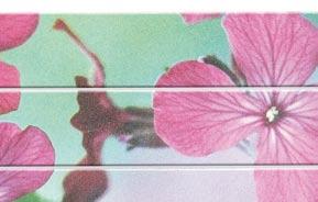 komplet - 3 sztuki NAIL FILES ROSE FLOWERS