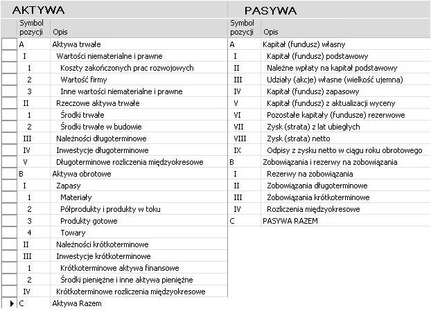 Rachunkowość Konto księgowe W zależności od rodzaju (charakteru) konta,