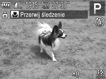 Zasięg fotografowania i ustawianie ostrości Zdjęcia Wybieranie obiektów, na których zostanie ustawiona ostrość (Śledzenie AF) Fotografowanie po wybraniu obiektu, na którym zostanie ustawiona ostrość,