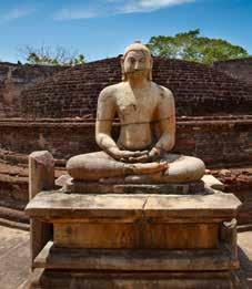 Indie południowe Sri Lanka Cochin Madras Mahabalipuram Kumbakonam Thanjavur Madurai Periyar Alleppey Park N. Yala Kolorowe południe subkontynentu i wyspa pełna skarbów na świecie. Nocleg w Kolombo.