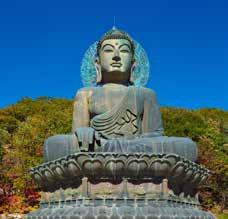 Nocleg w Gyeongju. 6 dzień Gyeongju/Daegu Zwiedzanie głównych atrakcji miasta: pochodzącej z VI w. świątyni Bulguksa oraz granitowych grot Seokguram, znajdujących się na zboczu góry Toham.