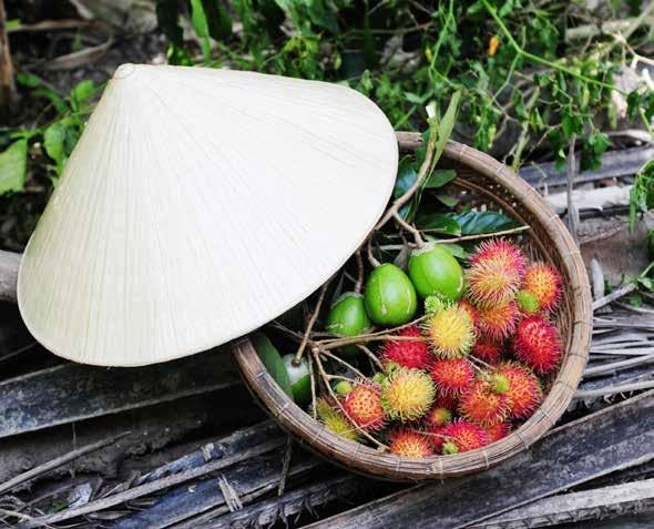 Wietnam kraj kontrastów 15 dni Hanoi Ha Long Ninh Binh Hue Danang Hoi An Ho Chi Minh Can Tho Delta Mekongu Ludzie, zabytki, przyroda i smak prawdziwej kuchni wietnamskiej 1 dzień Wylot z Warszawy