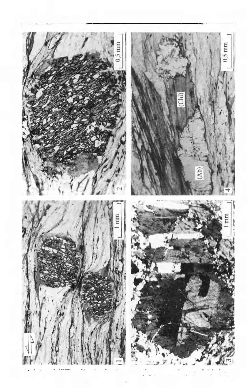 GEOLOGIA SUDETICA VOL. 29, 1 PL.