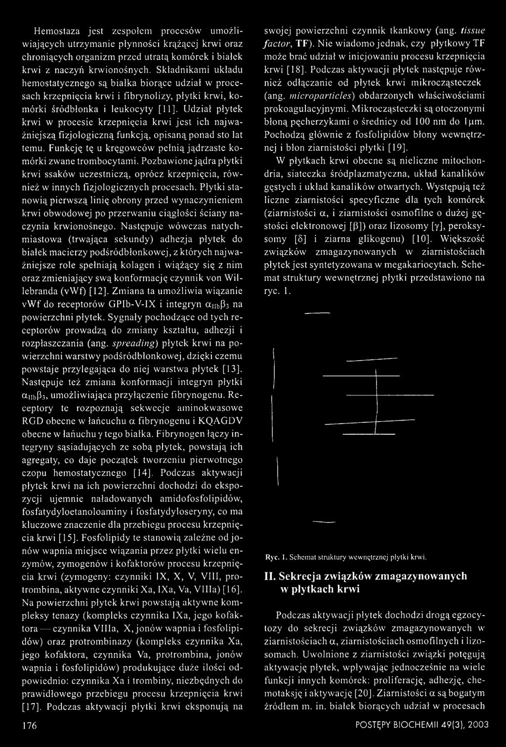 Udział płytek krwi w procesie krzepnięcia krwi jest ich najważniejszą fizjologiczną funkcją, opisaną ponad sto lat temu. Funkcję tę u kręgowców pełnią jądrzaste komórki zwane trombocytami.
