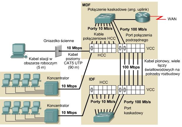 10 Projektowanie warstwy 2 celem urządzeń działających w warstwie 2 sieci jest przełączanie ramek w zależności od ich adresów MAC, wykrywanie błędów i zmniejszanie obciążenia sieci mikrosegmentacja