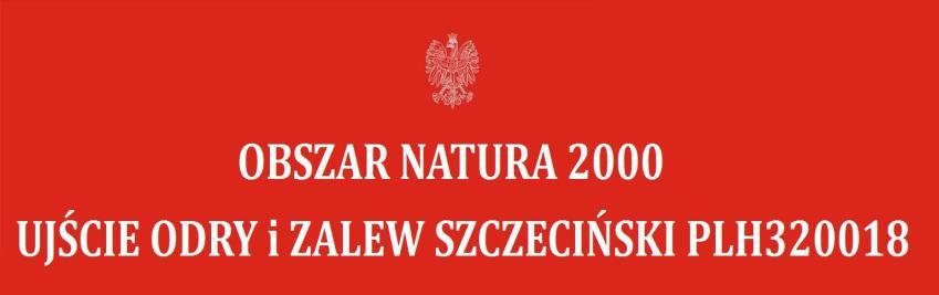 29 ust. 1 określa sporządzającego plany ochrony dla obszarów Natura 2000: Projekt planu ochrony dla obszaru Natura 2000 lub jego części sporządza sprawujący nadzór nad obszarem.