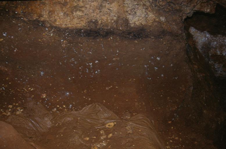 Socha Strata 1-15 were distinguished in shaft III and sampled [1 12a], while strata 13-21 were distinguished and sampled [12-18] in the passage
