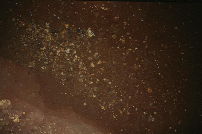[Cold Thresholds Shaft]. Photo by P. Socha Fig. 7. Excavation in the Sala Pod Okapem.