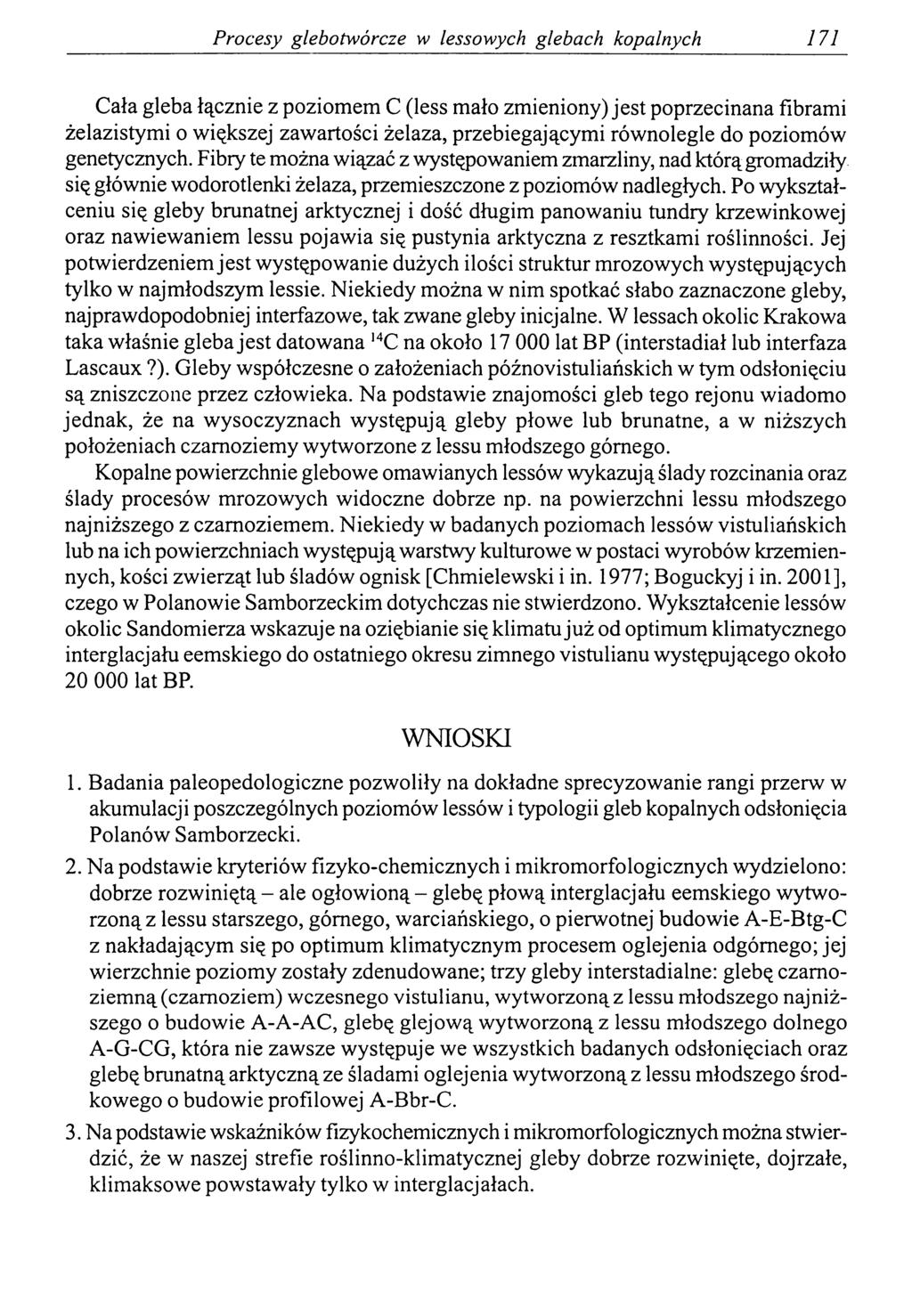 Procesy glebotwórcze w lessowych glebach kopalnych 171 Cała gleba łącznie z poziomem С (less mało zmieniony) jest poprzecinana fibrami żelazistymi o większej zawartości żelaza, przebiegającymi