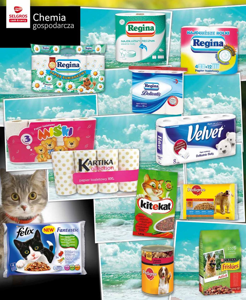REGINA RĘCZNIK NAJDŁUŻSZY 2 ROLKI dwa rodzaje po 15018419 3 89 z VAT 4.78 REGINA NAJDŁUŻSZE ROLKI PAPIER TOALETOWY 4 ROLKI po 63680144 5 89 z VAT 7.