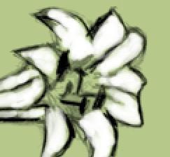 Przed i po zastosowaniu narzędzia Smudge Tool Możesz także używać narzędzia Smudge Tool (smużenie) do rysowania nowych linii, wystarczy zaznaczyć opcję kolor narzędzia w opcjach narzędzia.