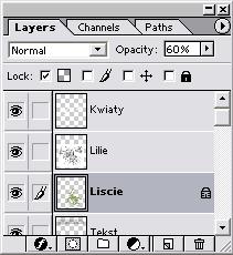 4 W oknie dialogowym Layer Style (styl warstw) wybierz tryb Nakładka z menu mieszanie podstawowe oraz ustaw przezroczystość (Opacity) na 70%. Kliknij OK. 5 Zapisz swoją pracę.