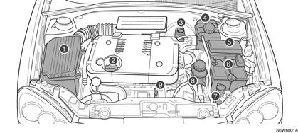 6 6 OBSŁUGA TECHNICZNA I PIELĘGNACJA SAMOCHODU MODEL 1.8 DOHC 1. Filtr powietrza 2. Korek wlewu oleju silnikowego 3. Zbiornik płynu hamulcowego/ sprzęgłowego 4.