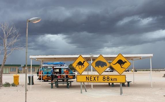 Pustynia Nullarbor- Nullarbor czyli bezdrzewna.