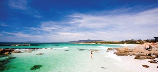 Tasmania- Wyspa to wspaniałe miejsce pod wieloma względami. Wbrew pozorom Tasmania to nie tylko słynny diabeł tasmański.