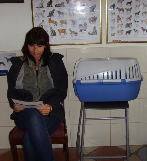 1 /2014 VET-Behawioryzm celu miejscach na podwyższeniu, a nie na podłodze.
