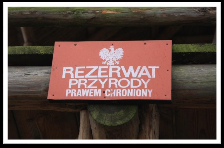 Rezerwaty Przyrody 14 1. Olszyny Rakutowskie 2. Jezioro Rakutowskie 3. Wójtowski Grąd 4. Jazy 5. Łąck 6.