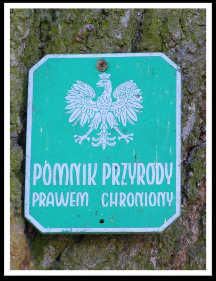 Pomniki Przyrody 117