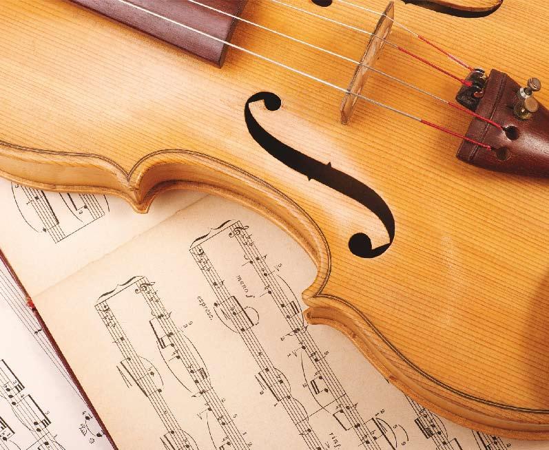 Nittaku Tenor Deska została wyprodukowana przy użyciu takich samych technologii, jakie stosuje się przy produkcji instrumentów smyczkowych.