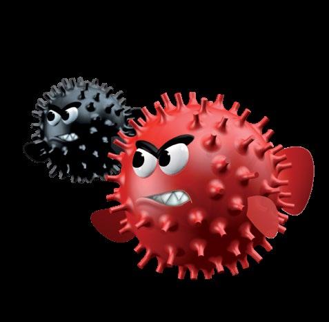 SOFT MED HARD SOFT MED HARD SOFT MED HARD BLOWFISH Nowa okładzina BLOWFISH z krótkimi czopami, łatwa do ogrania już po krótkim okresie treningu. Dalszy rozwój w grze sprawi problemy twojemu rywalowi.