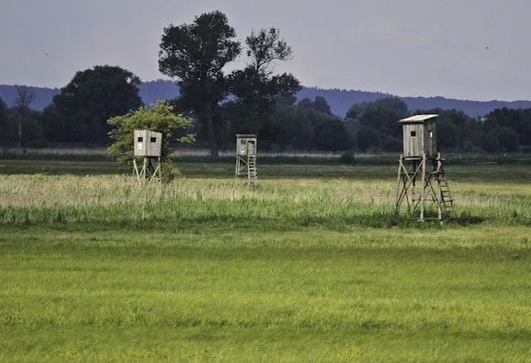 3 skutki: wciąż i wciąż zabijać. Uśmiercanie to najwyższa forma przemocy jakiej się doh puszczamy natejskaliniemożnaposunąćsięjużdalej.tejprzemocyniemusibyćaż tyle.