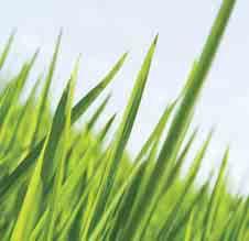 ecomoods outdoor Up to 80% energy saving