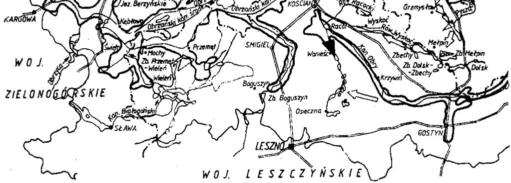 Wielki Łęg Obrzański około