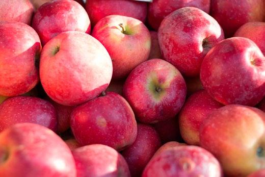 Niemniej jednak, rynki zbytu nie zapewniają wystarczająco wysokich zysków ze zrównoważonej produkcji.