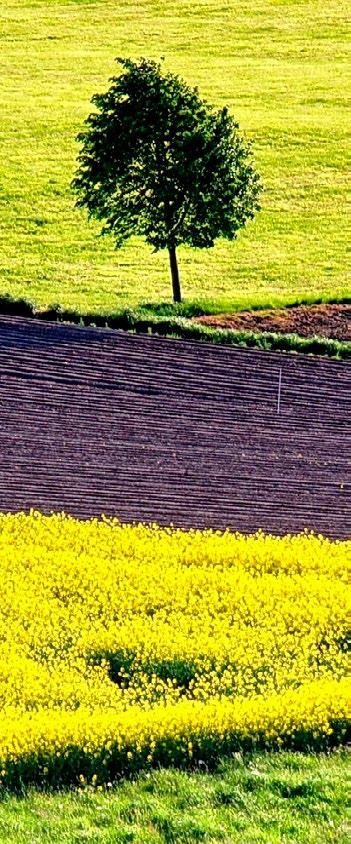 Beskidzkie Stowarzyszenie Produkcji Ekologicznej i Turystyki Best-Proeko Federacja Zielonych Gaja Fundacja Alter Eko Fundacja Client Earth Prawnicy dla Ziemi Fundacja Dzika Polska Fundacja Greenpeace