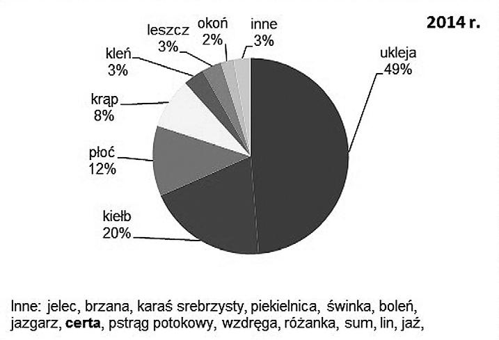 Udrożnienie systemu Sanu dla migracji ryb dwuśrodowiskowych szansą aktywizacji turystycznej ryby należące do 22 gatunków. Średnio w ciągu doby notowano 475 ryb.