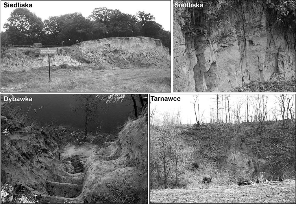 Lessy Pogórza Dynowskiego paleogeograficzne znaczenie i aspekt geoturystyczny w Karolówce i Siedliskach, wysokiej (40 60 m) w Tarnawcach, średniej (20 35 m) w Krasicach, Dybawce Dolnej, Buszkowicach