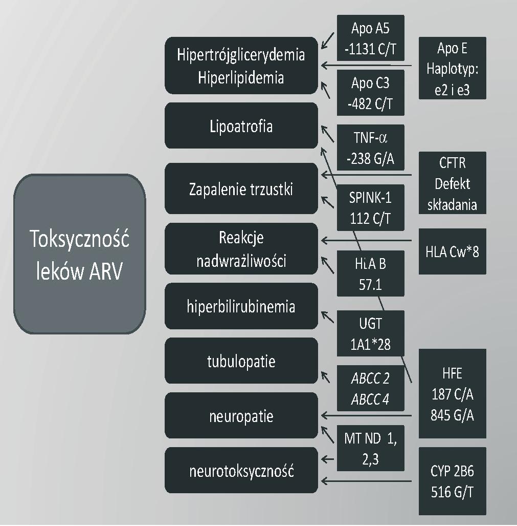 RYCINA 1.