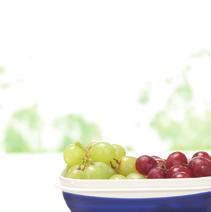Wszechstronne dostępne w różnych rozmiarach i kształtach Zestaw pojemników Fresh &