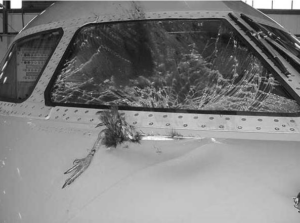 in/lifestyle/oddlyenough/bird-strike-hazards.html), c) uszkodzenia w kokpicie śmigłowca (źródło: http://lotniczapolska.