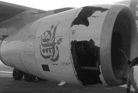 com/wp-content/uploads/2009/01/bash9000-page-15-image-0001.jpg, c) http://www.gconnect.in/lifestyle/oddly-enough/bird-strike-hazards.html).