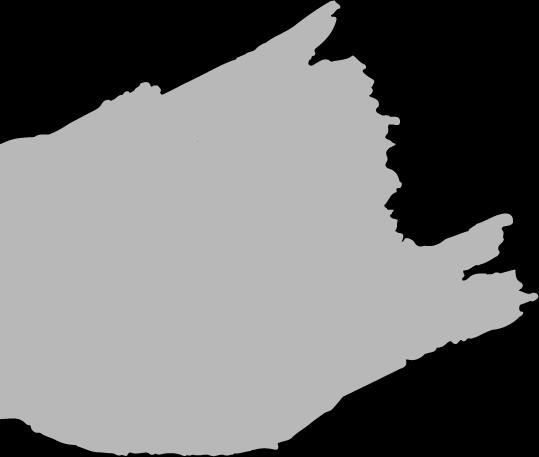 -, zł (0, zł/kapsułka).