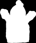cm renifer -