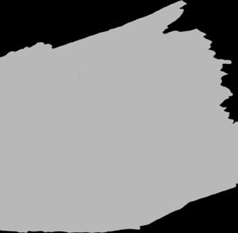drewna, zestaw