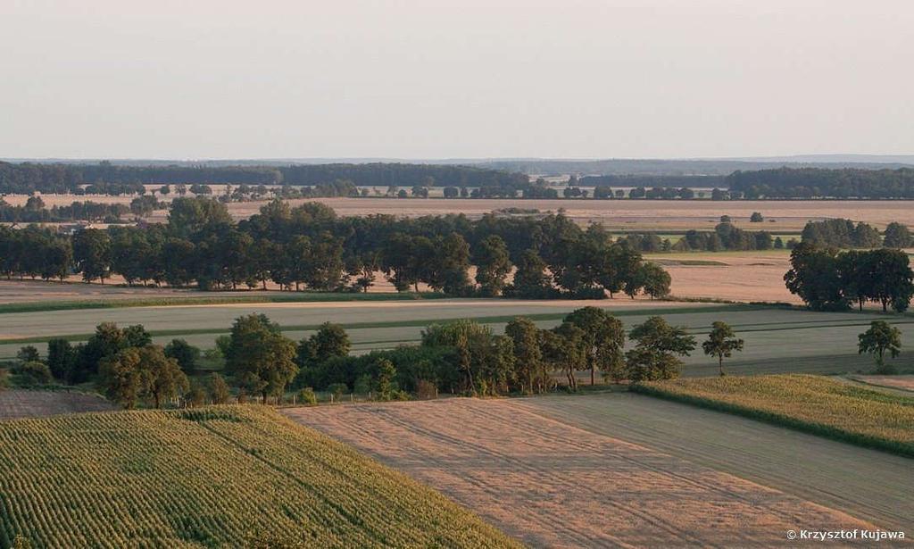Agroleśnictwo w walce ze zmianami klimatu i zagrożeniami środowiska Zadrzewienia śródpolne w Parku Kr