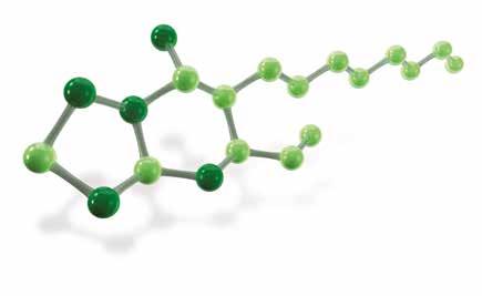 Initium charakterystyka chemiczna Initium, fungicyd do zwalczania lęgniowców, należy do nowej grupy chemicznej: triazolo-pirymidyloamin.